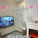 유수암쉘4동401호 | [제주/유수암] 애월휴빌리지 2호 | 반려동물 동반 가능한 독채 펜션, 제주 한달살이 펜션 추천