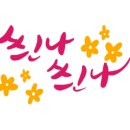 대백프라자시리즈 이미지