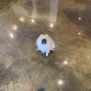 소담 살롱 이미지