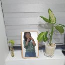 세영아쉬탕가요가 이미지