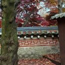 농업용창고 진출입로 - 합천군 청덕면 | 농업용창고 진출입로