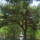 함허대사부도 이미지