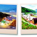 바다가 좋아 이미지