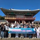 별밤 글램핑 미디어투데이