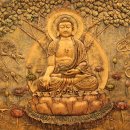 묘한향기 이미지