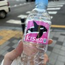 잼토리