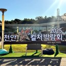 2025 천안 K컬처박람회 행사 이벤트 푸드트럭 주차정보 꿀팁 후기