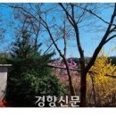 강원고등학교 이미지