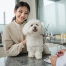 스무해 동물병원 이미지