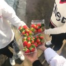 원덕농도 | 서울근교 1박2일 떠나기 좋은 양평 여행코스 Best10