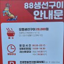 중앙동308 | 속초 생선구이 맛집 '88생선구이' 내돈내산 후기(주차, 메뉴, 가격, 웨이팅)