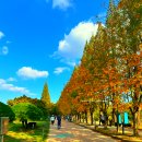 (주)경주산림환경 이미지