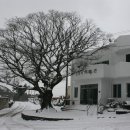 성읍2리마을회관 이미지