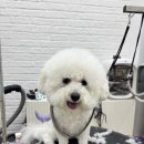 몽글몽글