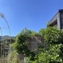 홀리가든민박 이미지