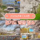 너더리육교 | 경기도 벚꽃 명소 모음 과천 서울대공원, 판교 운중천