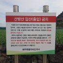 포시즌(FOURSEASON)