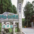 까치랜드 이미지