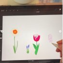 아이패드로 배우는 펜 드로잉 이미지