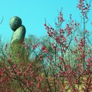 매화1공원 이미지