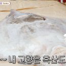 아영이네국화빵 이미지