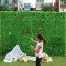 놀자엔터테인먼트 협동조합 이미지