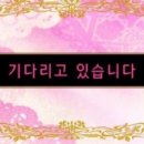 설렘한스푼 이미지