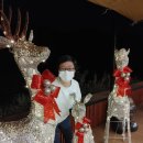 속초의아침공인중개사사무소 이미지