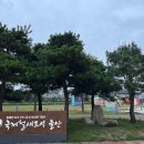 태화강 빛 축제 이미지