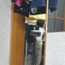 친정찬스