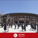 영인일본입시연구소 이미지