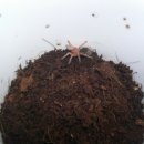 로만헤어 이미지