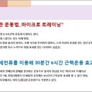 터치벨라