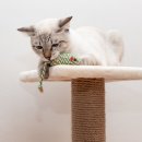 이산동물의료센터 이미지