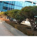 상무평화공원 이미지