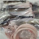 바다장어 이미지