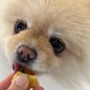 디저트의 들 디드루 이미지