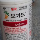 역전농약사 이미지