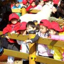 포니랜드 이미지