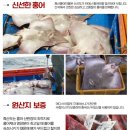 홍어마을 네이버블로그