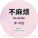 씨에씨에 이미지