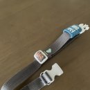 보듬펫 | [내돈내산] 강아지 목줄, 하네스편