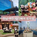 테디베어뮤지엄 | 여수 실내 아이랑 가볼만한 곳 테디베어 뮤지엄 방문 후기