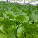 농산물판매장 이미지