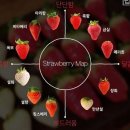 장희농장 이미지