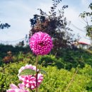 영락농원 이미지