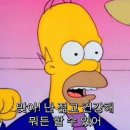 [울산 발목수술/발목인대수술] MBO 수술 후기 : 수술 두 달 차(5-8주) 집에서 요양일지 #7