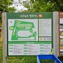 오손도손캠핑장 이미지