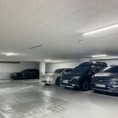 새본 정형외과 이미지