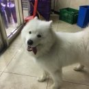 옥천대중탕 이미지